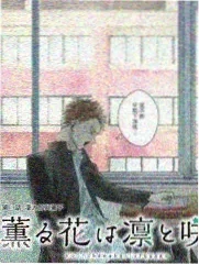 综艺